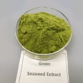 สารสกัดจากสาหร่ายทะเลเขียวที่กระตุ้นทางชีวภาพ