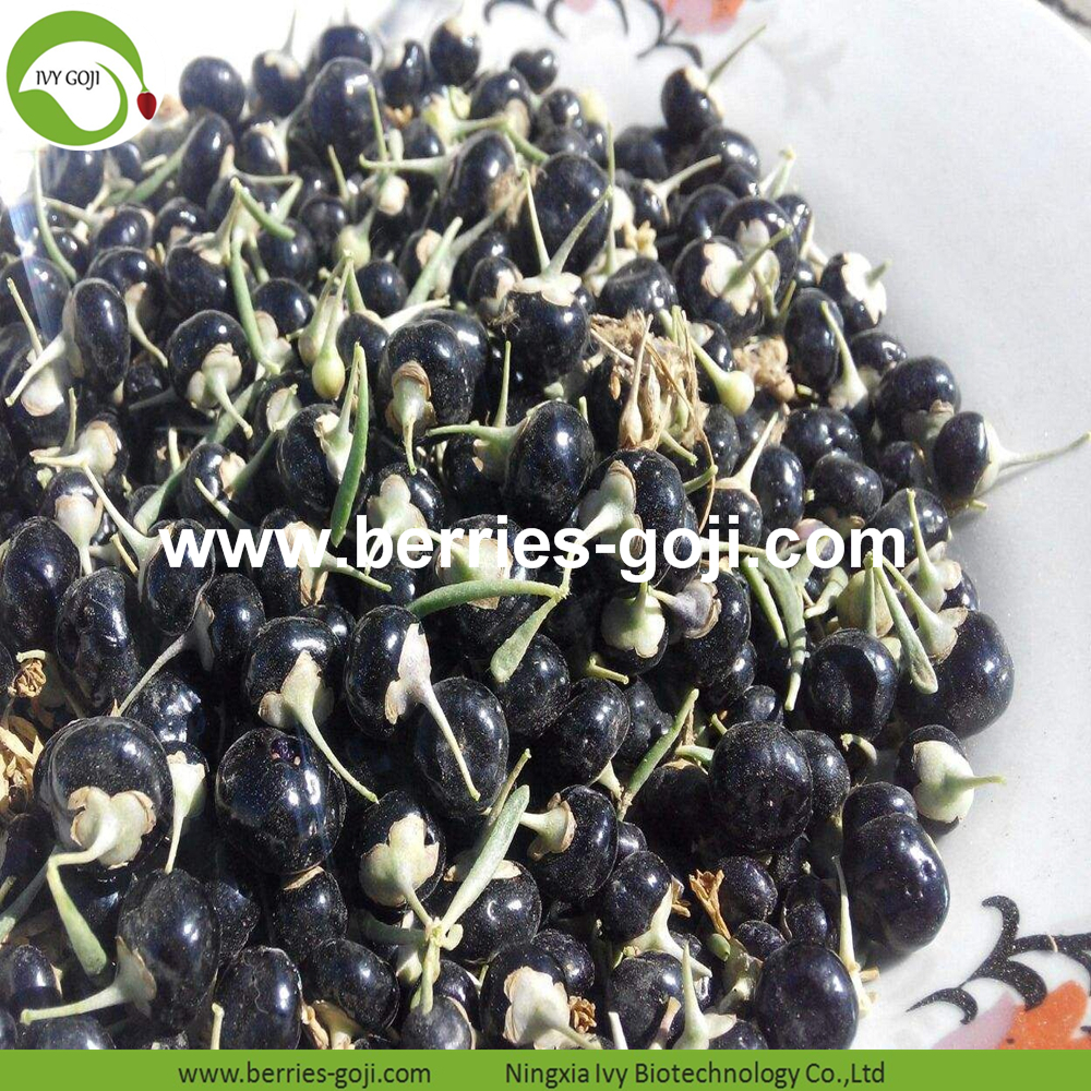 Black Dried Wolfberry