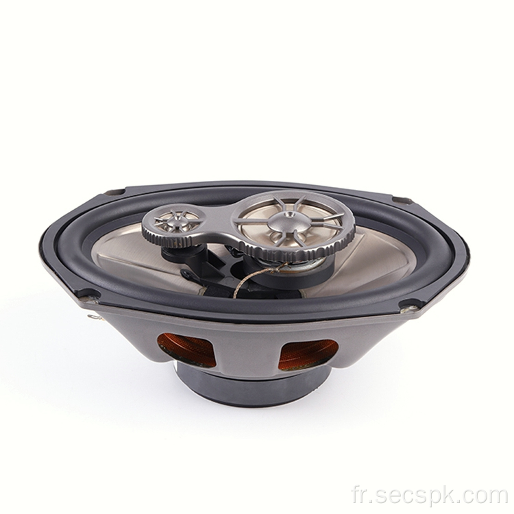 Haut-parleur coaxial de voiture 6x9 &quot;