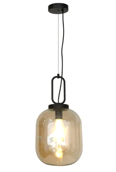 Modern Egg Light Bulb Shaped Glass Pendant Lamp