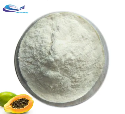 raw material spray dried papaya fruit extract powder