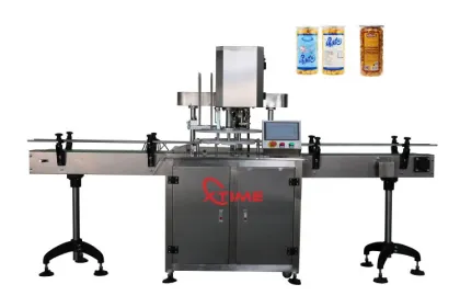 Automatic Dry Spice Powder Filling Machine