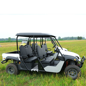 Customized Kids Electric UTV for Farm - EEC Compliant 4x4 Adult Version