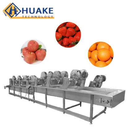 Double-Cylinder Fruit and Vegetable Washing Machine with Conveyor Belt