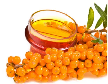 Sea buckthorn seed extract