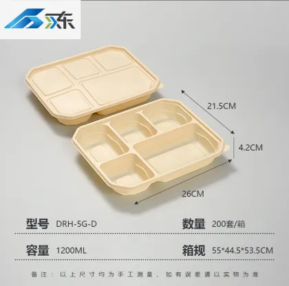 Five compartments lunch box D