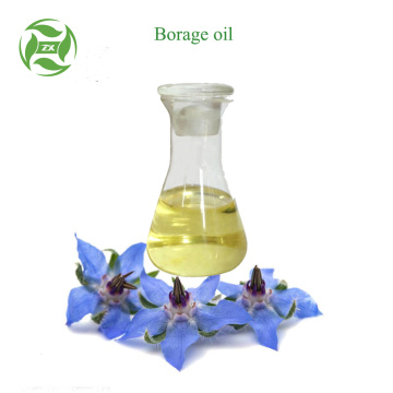 Grosir borage minyak harga massal kualitas terbaik OEM