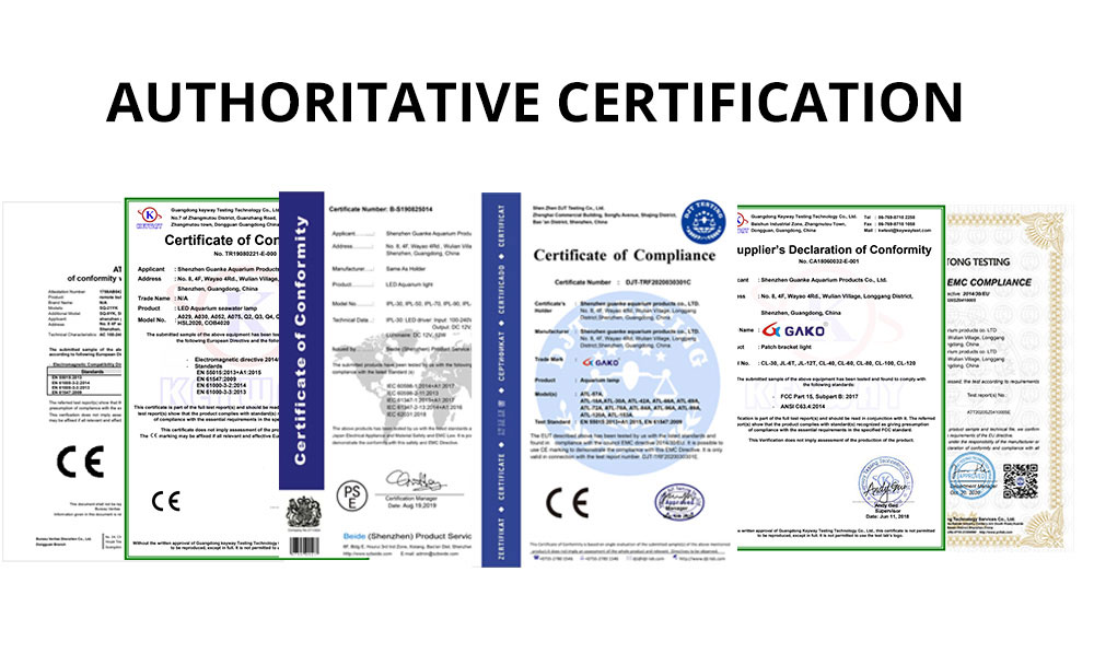 A052 Certificate
