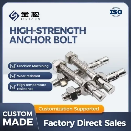 High-Tensile Stainless Steel Wedge Expansion Anchor Bolts for Concrete Foundations