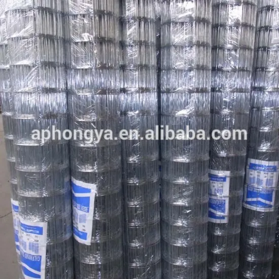 China Wholesale Professional Manufacture Galvanized Welded Wire Mesh/pvc coated/stainless steel welded wire mesh
