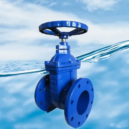 Soft seal gate valve