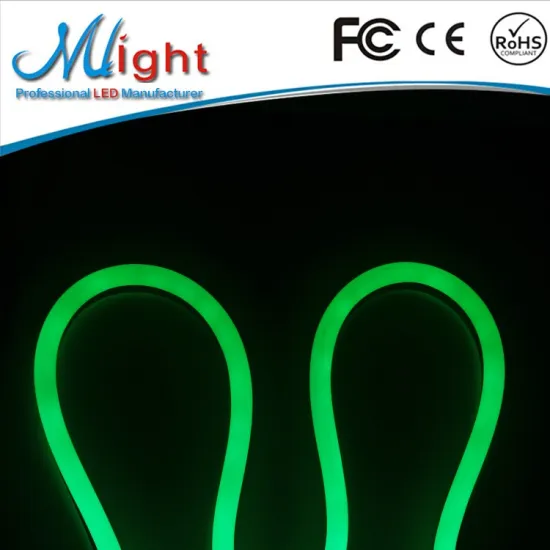 DC 12V outdoor indoor decoration waterproof customize LED Neon Flex Flex LED neon rope light