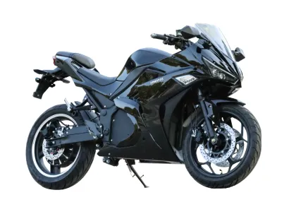 Electric Motorcycle EM99PTv 5000W