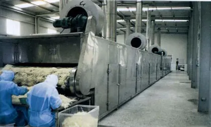 DWVF Multi-Belt Dryer