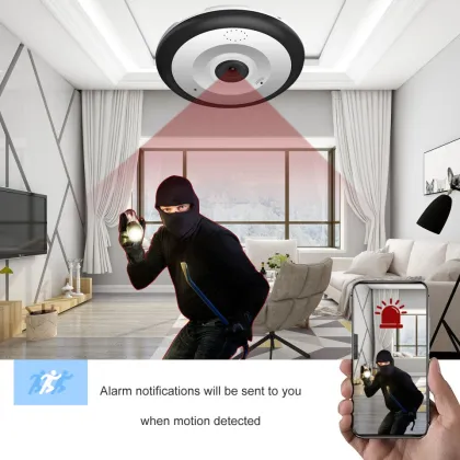 OEM Eyeball 360 Fisheye Cam - 180 Degree View Security Camera: 1.3MP, 3MP, 5MP Cloud Panoramic Camera