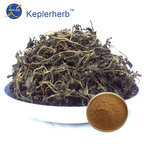 Bacopa Monniera Extract Powder