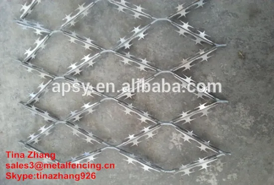Concertina Razor Barbed Wire fence/low price concertina razor barbed wire