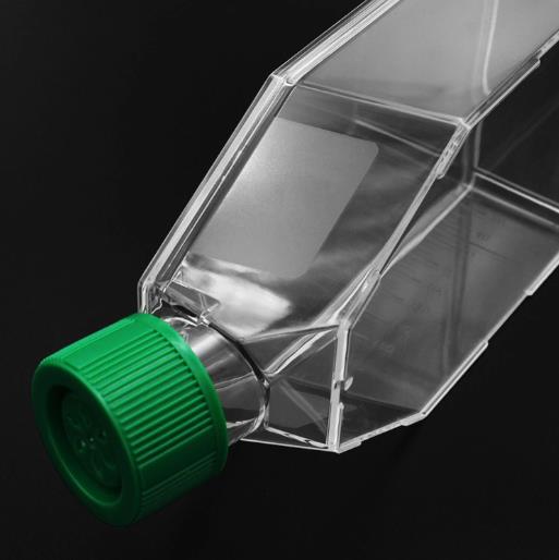 Cell culture flask