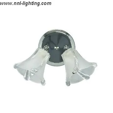 2-Light Track Light Fixture in Chrome Finish