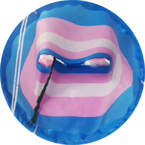 Anpassad utskrift Windsock Rainbow Pattern Gay Pride