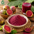 Polvo de fruta de cactus para suplementos dietéticos