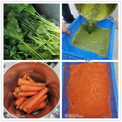 Commercial Vegetable and Fruit Chopper/Food Beater