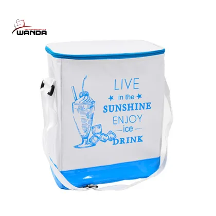 Ice packs the picnic bag