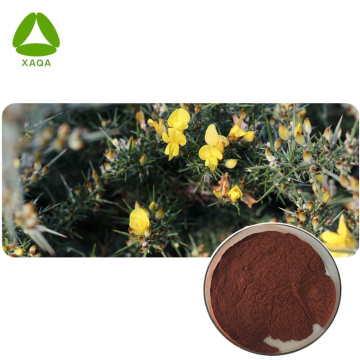 Antioxidant Aspalathus Linears Rooibos Extract Powder