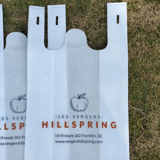 Nonwoven Custom Printing Logo Gift Bags