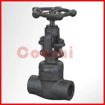 A105 forged globe valve