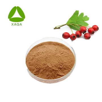 Anti-Tumor Hawthorn Leaf Extract Vitexin 98% Powder