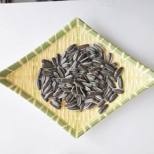 New Crop HALAL Certified Sunflower Seeds As Nuts