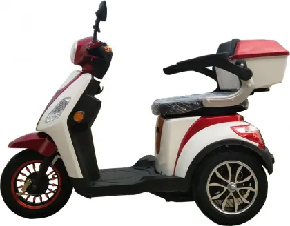 Old man riding three wheel electric bike