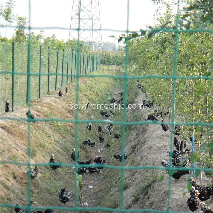 Svetsat Wire Mesh Europe Security Fence