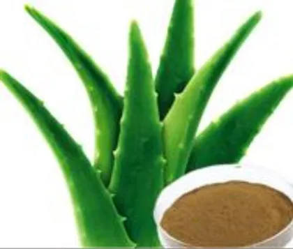 Natural Aloe Vera Extract Powder