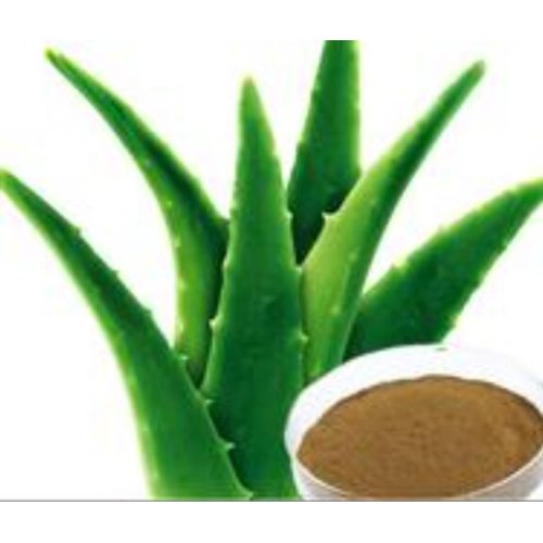 Natural Aloe Vera Extract Powder