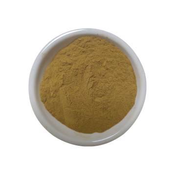 2020 JCF all'ingrosso rifornimento di fabbrica Pelargonium Sidoides Root Estratto in polvere Supply