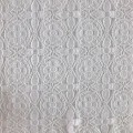 Nylon Cotton Lace Fabric Floded Yarn