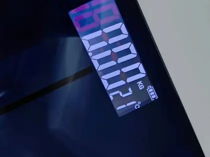 household smart body fat scale