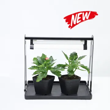 Mini Greenhouse Seed Tray with Fast Grow Hydroponic LED Grow Light