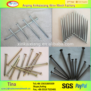 hot sale 2 inch polish wire nail , common iron steel nails product factory made in china