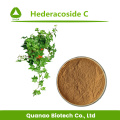 مسحوق مستخلص أوراق اللبلاب Hederacoside C 10٪