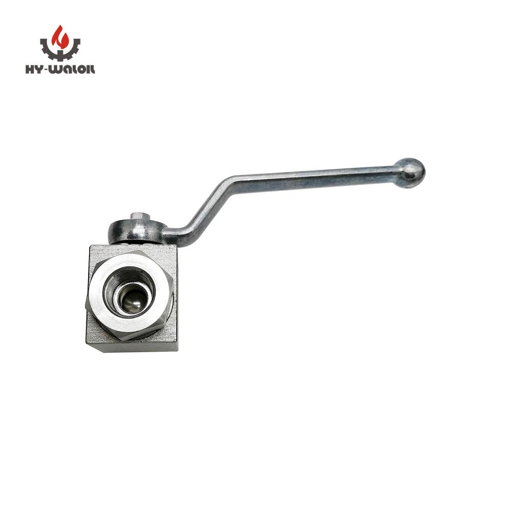 Sw9 Steel Zinc Valve