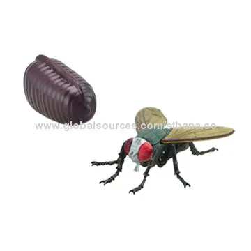 Catapult paraglider