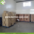 Factory Supply Fruits Koop marktprijs Goji Berry