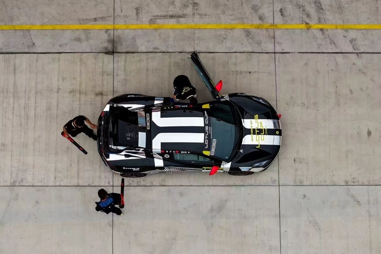 LOTUS Cup a18