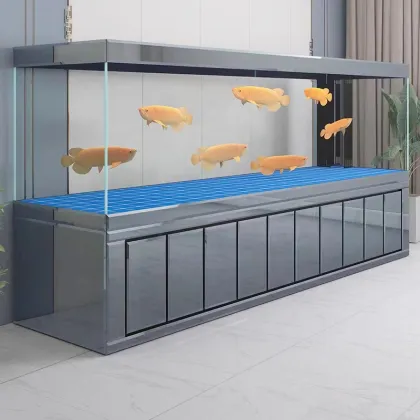 Customized Large Dragon Fish Acrylic Aquarium with Cabinet - China Supplier