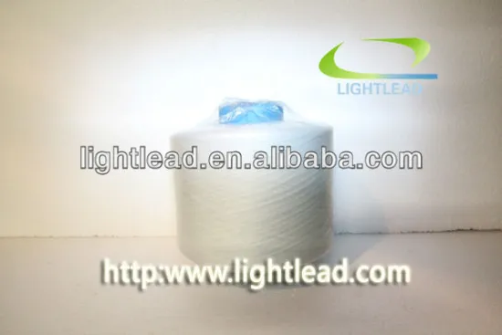 Glowing yarn(DTY 300)