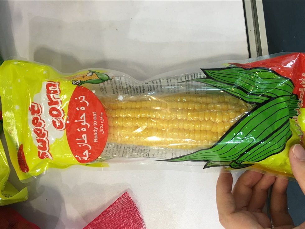 Sweet Corn 33