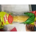 Jagung manis Segar Kualitas Baik